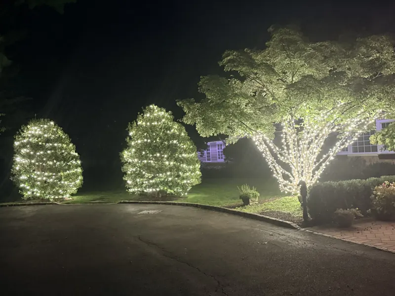 Christmas light installation on Long Island by North Star: warm white tree and shrub wraps
